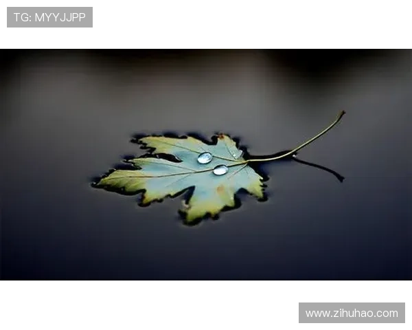 圆圆的故事：一场关于寻找与回归的生命叙事